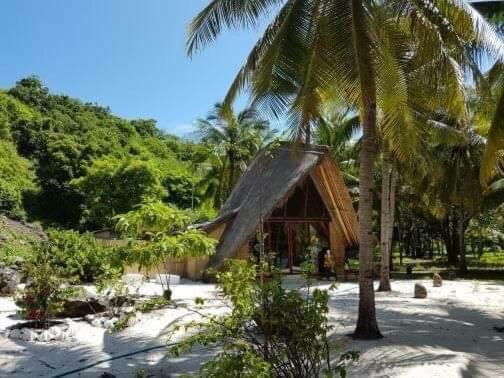 Eco Dive Resort Alycastre Maumere Eksteriør bilde