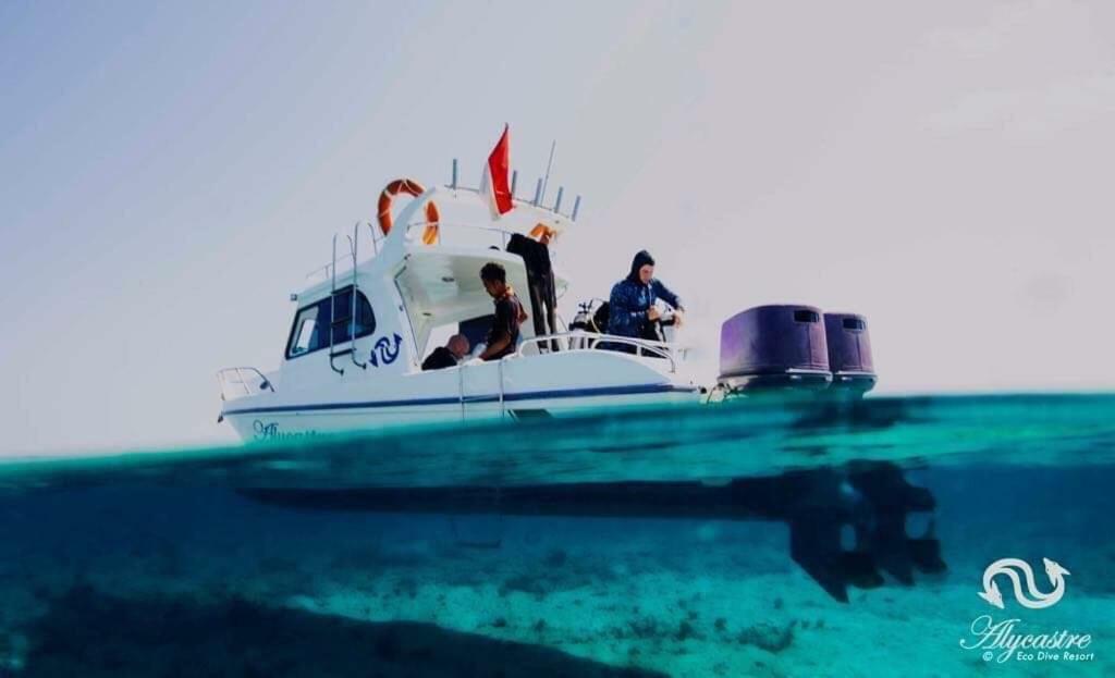 Eco Dive Resort Alycastre Maumere Eksteriør bilde