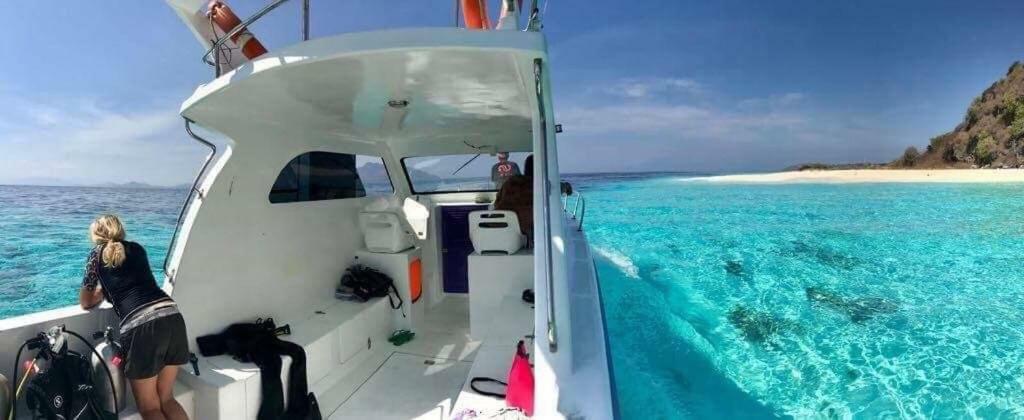 Eco Dive Resort Alycastre Maumere Eksteriør bilde